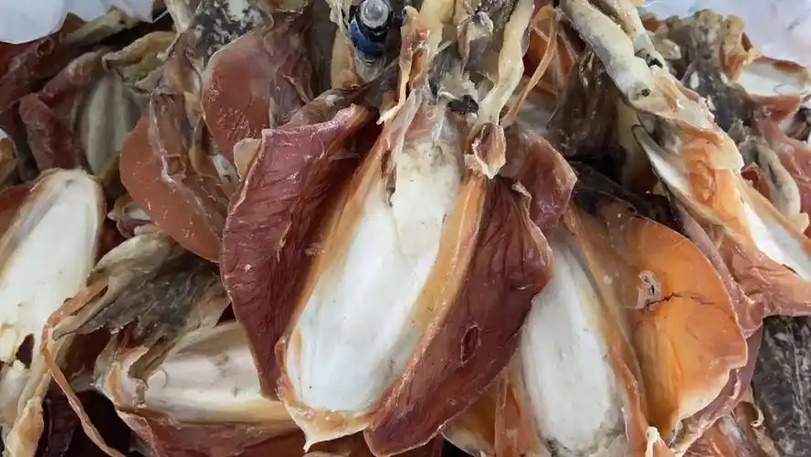 船晒墨鱼干～煮粥给小朋友吃很营养