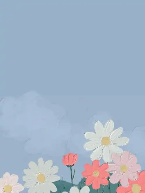 背景图小清新_小红书