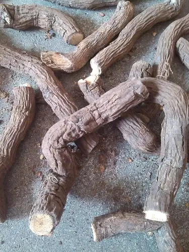 黄山野生雄猕猴桃根 藤梨根 阳桃根 洋桃根 特价6775-lppc