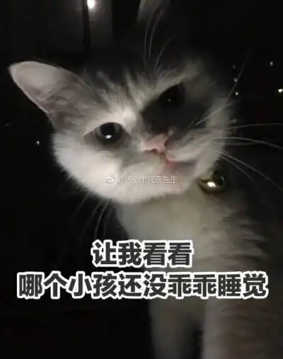 让我看看哪个小孩还没有乖乖睡觉