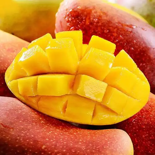 海南贵妃芒应季新鲜水果红金龙芒果果园现摘热带忙果