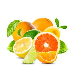 不同种类的柑橘类水果图片-不同种类的柑橘类水果素材-不同种类的柑橘