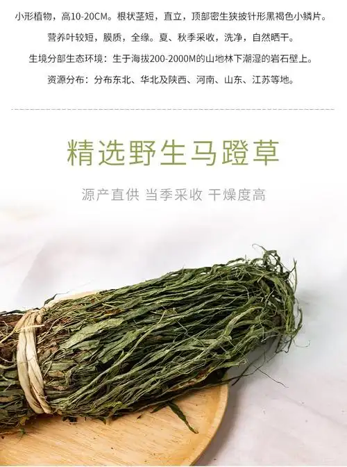 古养斋马蹬草过桥草小石韦还阳草中药材250g正宗马