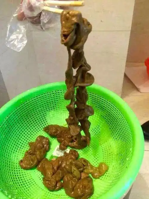 果蔬酵素粉排宿便