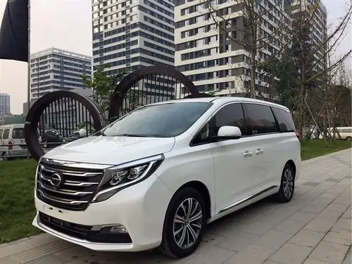 【成都】2019年03月 力帆320 2018款 320t 尊贵版 自动档