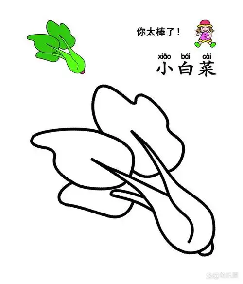 儿童蔬菜花卉涂色画