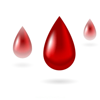 血液血滴