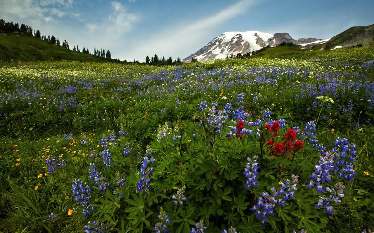 大自然秀丽风光图片高清壁纸高清大图预览1920x1200_风景壁纸下载_美