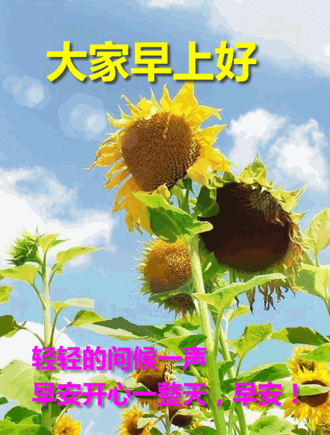 人的一生没有谁事事得意处处风光淡然一些看开一点早安