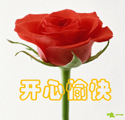 260_250gif 动态图 动图