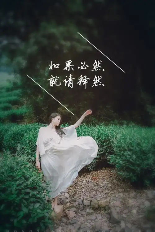 q签录如果必然就请释然龟速更新禁二