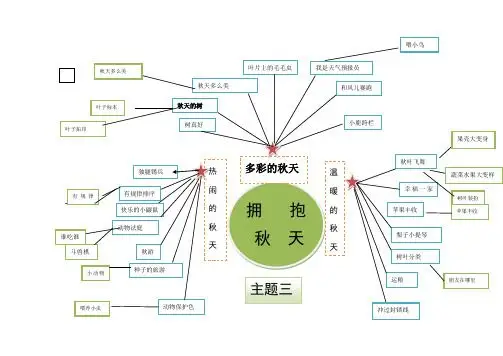大班特别的我主题网络图 - 百度文库