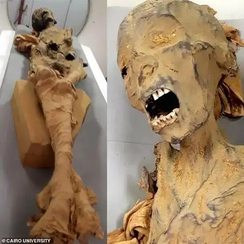 三千年前「尖叫木乃伊」因何而死?ct检查揭露真相
