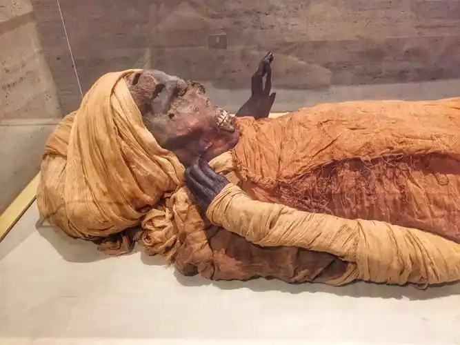 进入金字塔的人无一例外得病死去意外发现木乃伊千年不腐