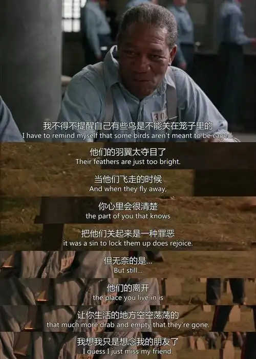 肖申克的救赎人生必看电影