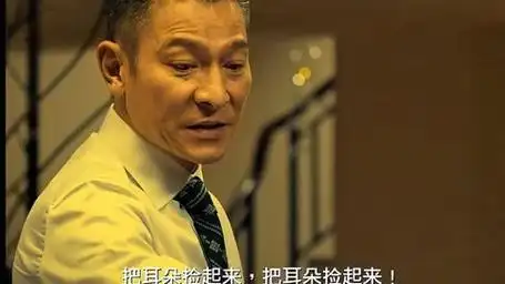 把耳朵捡起来,捡起来!#刘德华#追龙