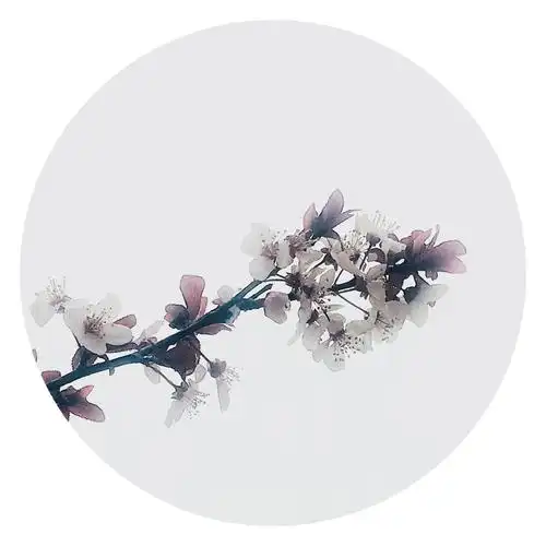 一枝红杏出墙来