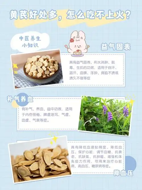黄芪好处多怎么吃补气不上火71