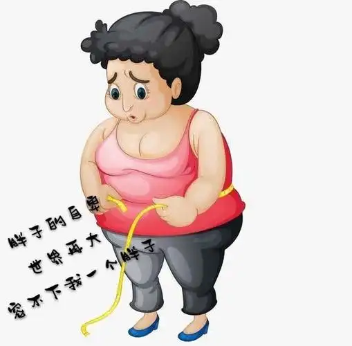 你是大肚腩or小妖精
