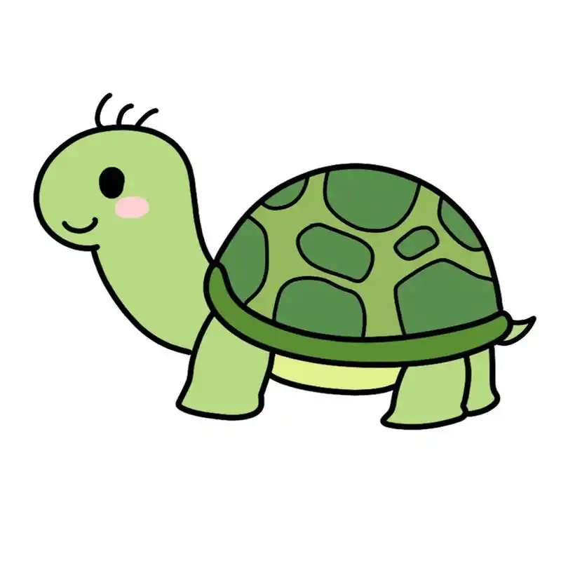 娃幼儿园之前够教咯90小乌龟简笔画分享 画个小乌龟98简笔画学习