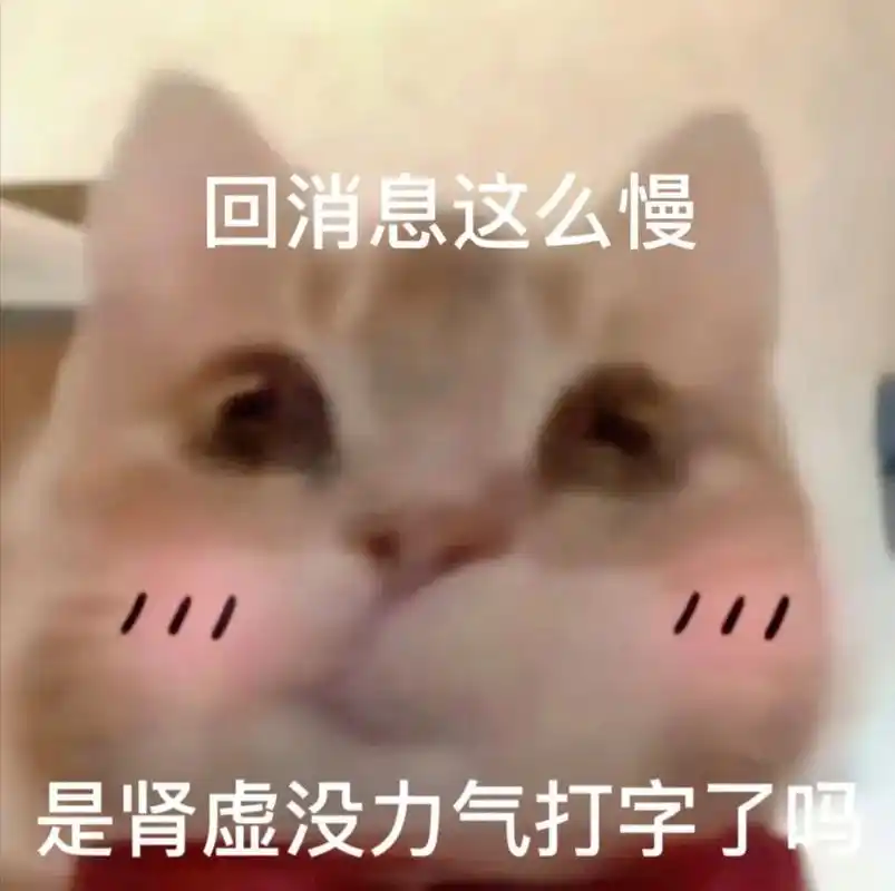 回消息这么慢是肾虚没力气打字嘛#发给对象表情包 #猫咪表情包 - 抖音
