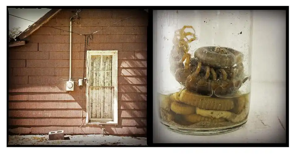 untold stories: abandonment and decay through the lens of an