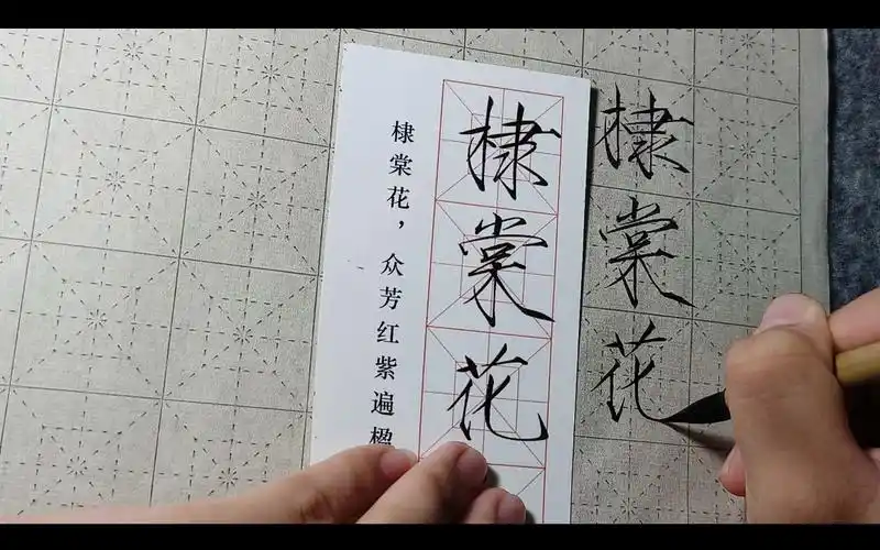 【瘦金体】棣棠花绽放,字体展现自然魅力!