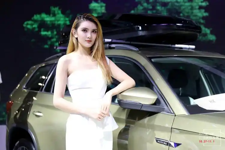 北方有佳人 沈阳国际车展上那些靓丽美女车模