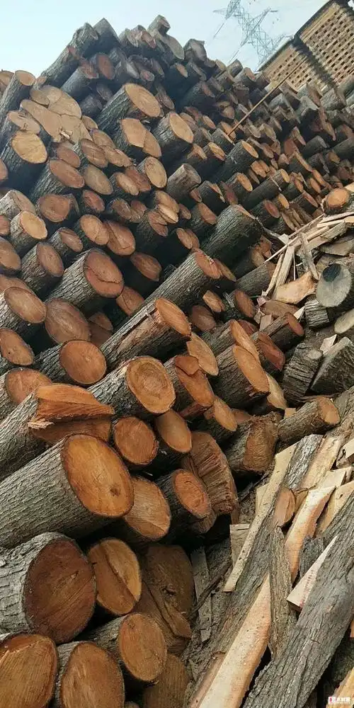 红椿木 - 批木网