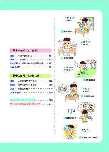 2020春教材帮 初中 九年级下册 化学 rj(人教版)初中同步--天星教育