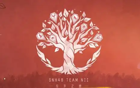 【snh48】team nii《应许之地》公演 20230713