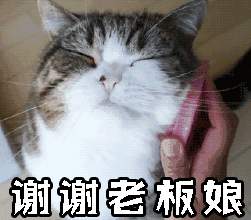 谢谢老板娘 thank