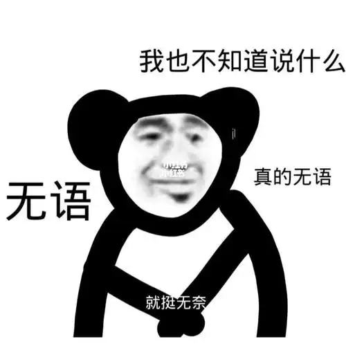 无语无语无语气死我了