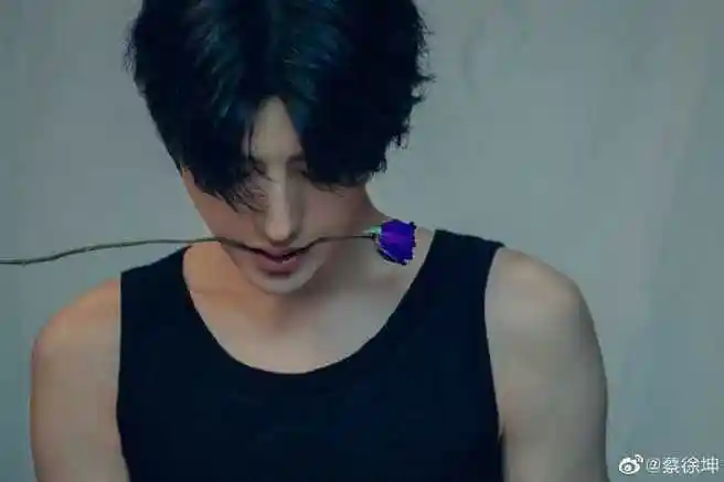 发现蔡徐坤的音乐里放了好多(蓝)玫瑰元素  情人封面是蓝玫瑰 迷mv里