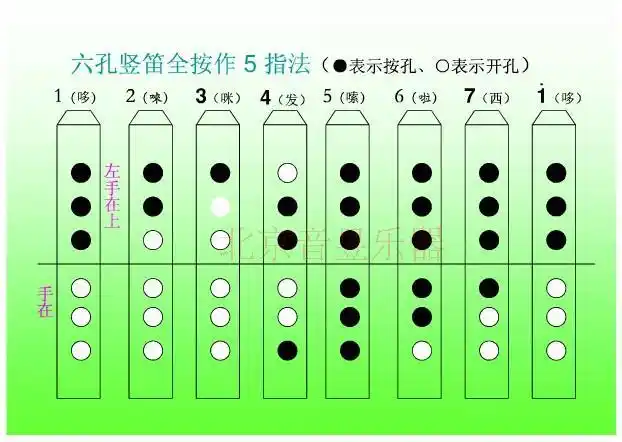 muse 六孔缪斯 班贝格品牌6孔竖笛 雅马哈样式 黑色 著名老品牌