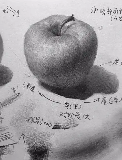 美术联考  #素描静物单体  #素描静物单体塑造  #素描静物单体苹果