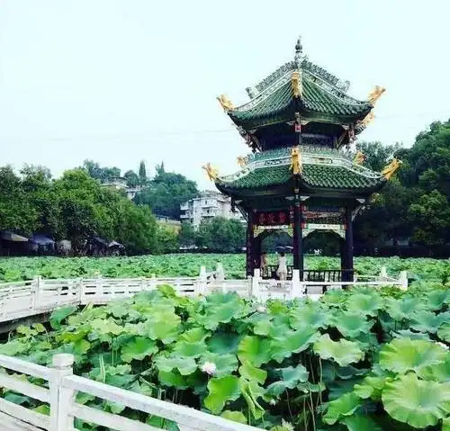 在四川富顺逛文庙游西湖,再来碗豆花,不仅巴适还安逸得很