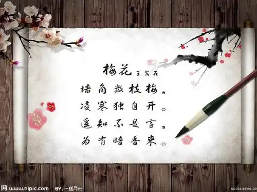 王安石,宋代著 名的文学家,思想家 和改革家.他