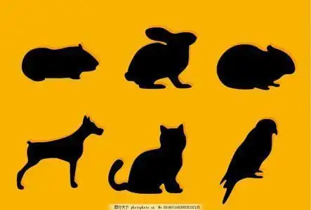 动物和影子简笔画