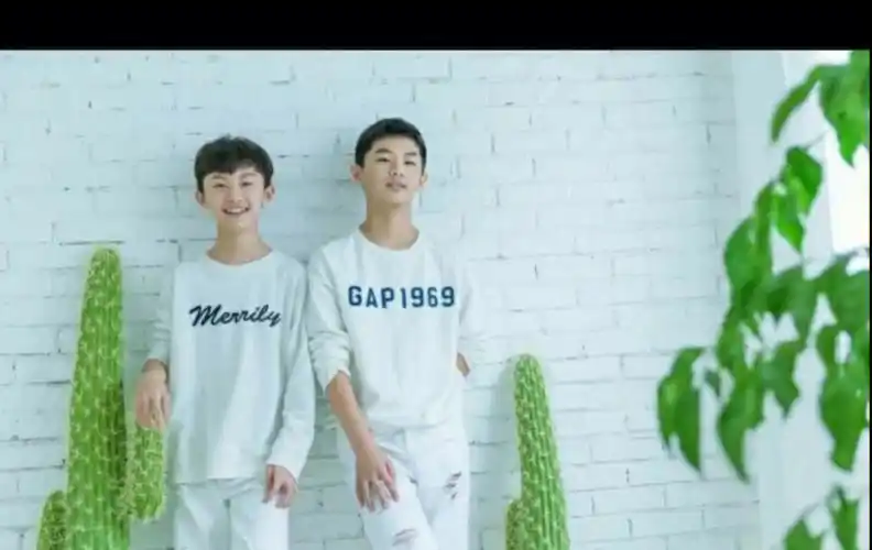 马嘉祺和马嘉诚图片