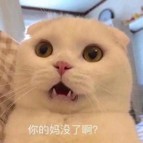 什么鬼,爬开爬开表情包 - 表情图