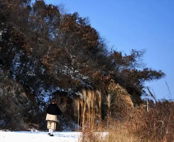 深山里的和尚们