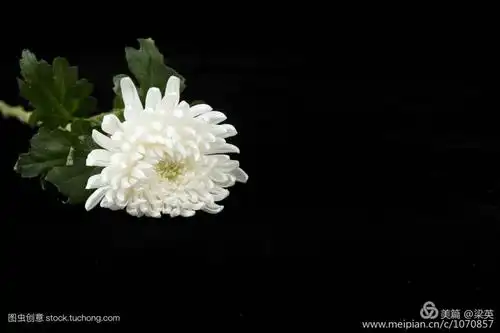 爸爸妈妈,我们想您!