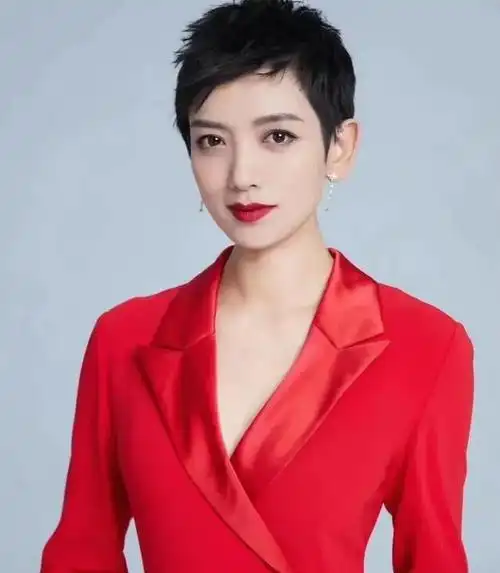 李晓峰结过婚,前夫是个富商,两人育有一个儿子