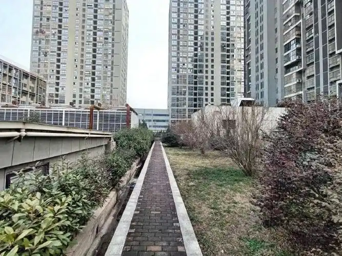 城南99旁凯迪塞纳河畔主次卧招租智能门锁民用水电