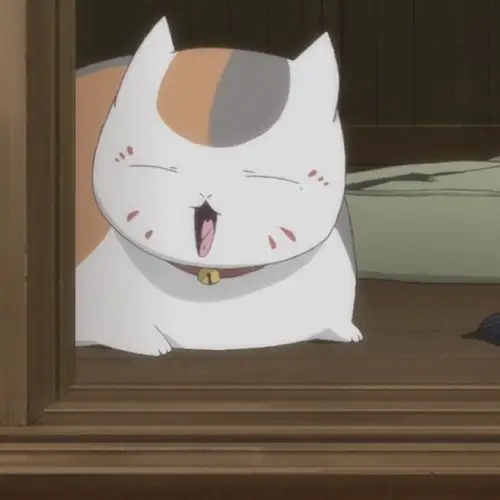 oh 我的猫咪老师 娘口三三 by眉眼笑