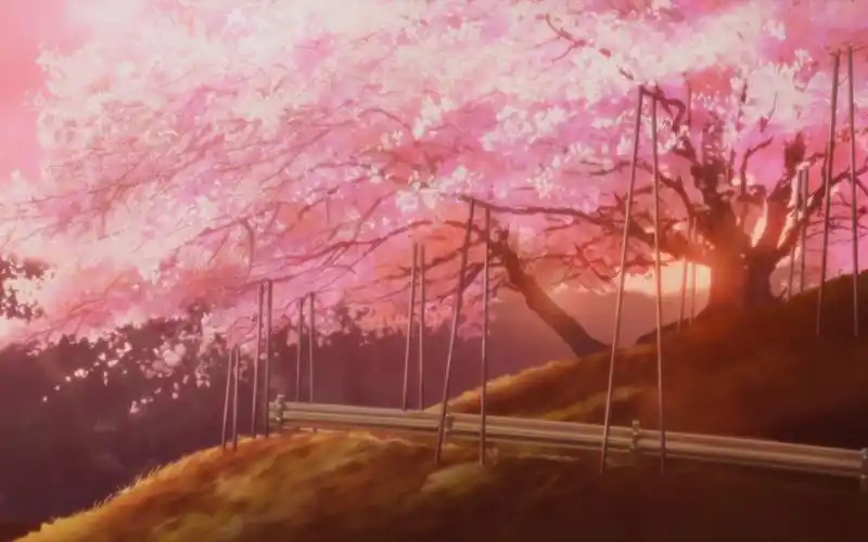 樱花飘落94,是离别的乐章,还是重逢的序曲