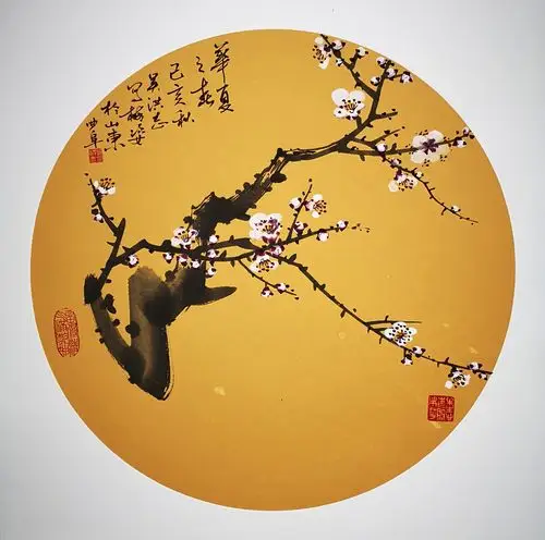 十大名贵梅花(十大名贵梅花品种)