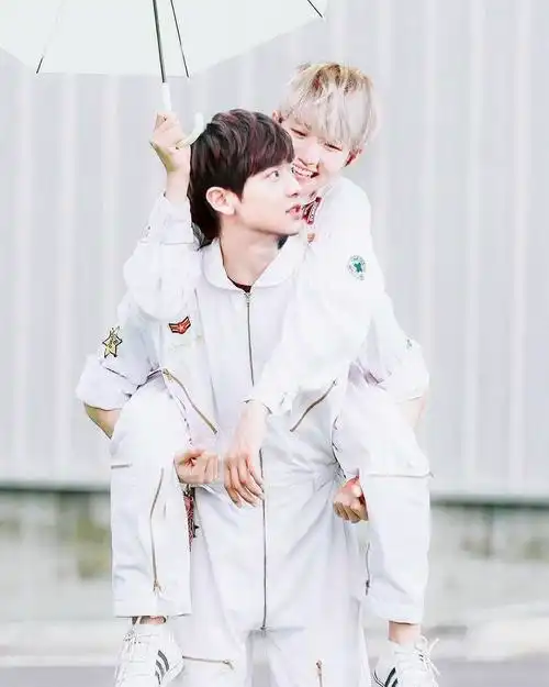 关注  cp 灿白 评论 收藏