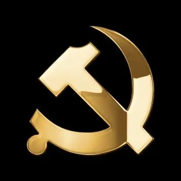 金色质感党徽视频